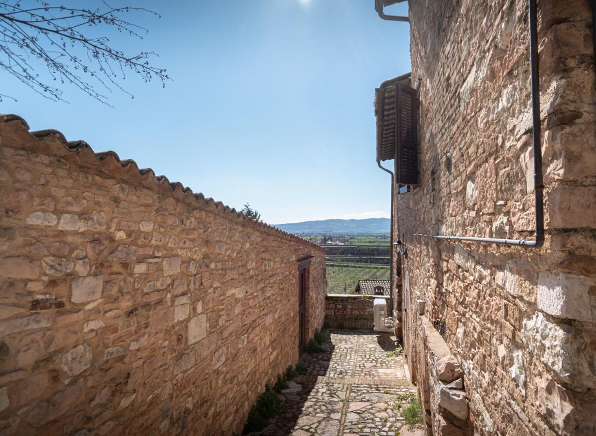 La Perla Di