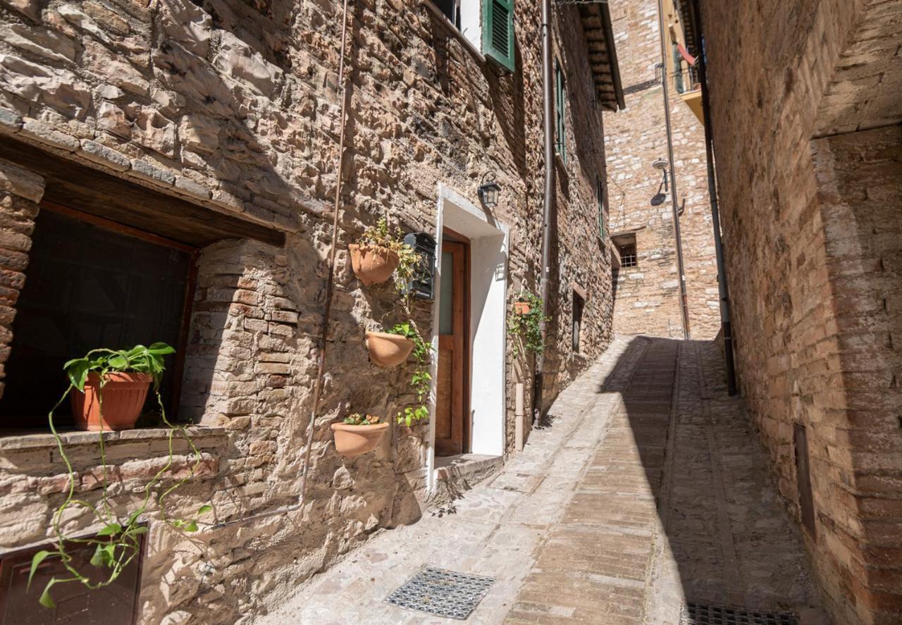 Apartment La Perla Di Spello